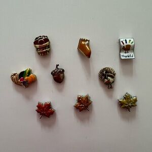 Origami Owl Thanksgiving/Autumn Charms
